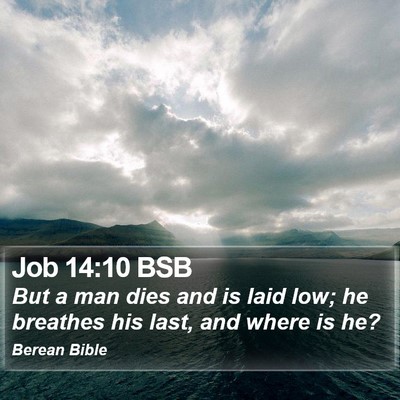 Job 14:10 BSB Bible Verse Image