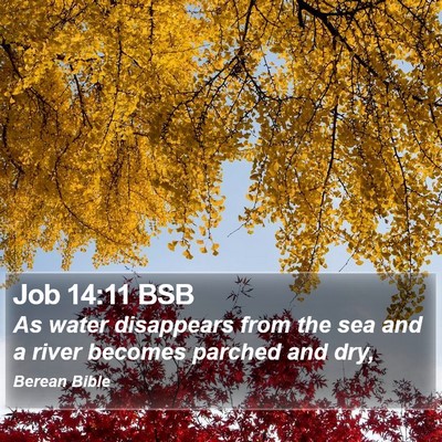 Job 14:11 BSB Bible Verse Image