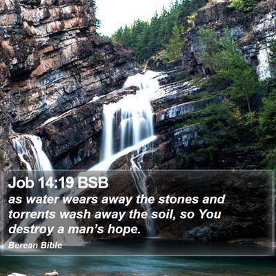 Job 14:19 BSB Bible Verse Image