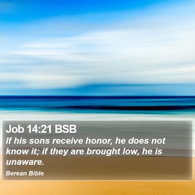 Job 14:21 BSB Bible Verse Image