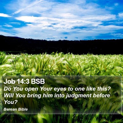 Job 14:3 BSB Bible Verse Image