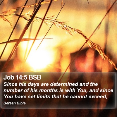 Job 14:5 BSB Bible Verse Image