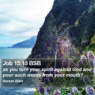 Job 15:13 BSB Bible Verse Image