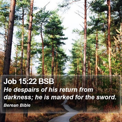 Job 15:22 BSB Bible Verse Image