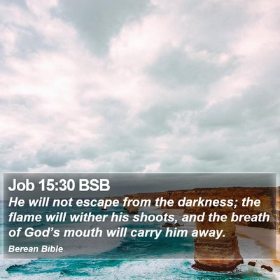 Job 15:30 BSB Bible Verse Image
