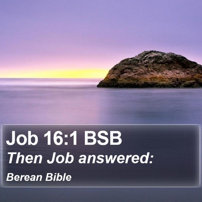 Job 16:1 BSB Bible Verse Image