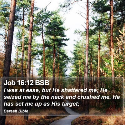 Job 16:12 BSB Bible Verse Image