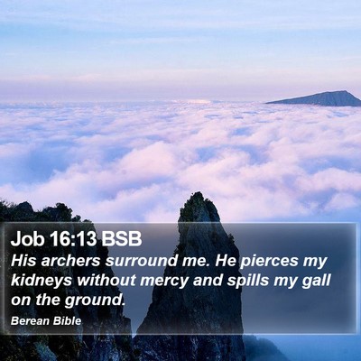 Job 16:13 BSB Bible Verse Image