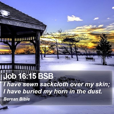 Job 16:15 BSB Bible Verse Image