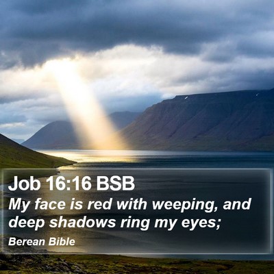 Job 16:16 BSB Bible Verse Image