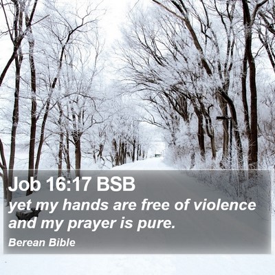 Job 16:17 BSB Bible Verse Image