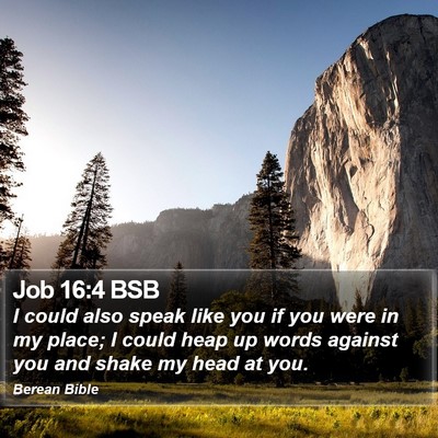Job 16:4 BSB Bible Verse Image