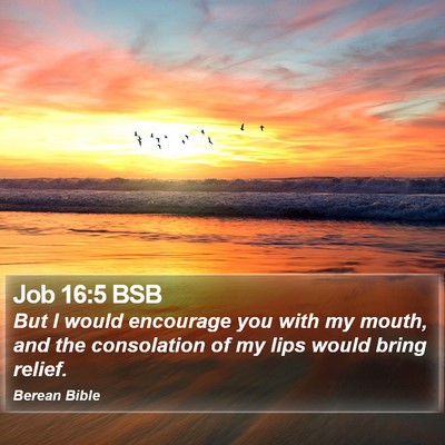 Job 16:5 BSB Bible Verse Image