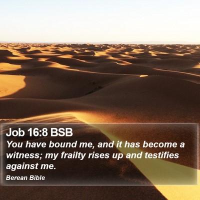Job 16:8 BSB Bible Verse Image