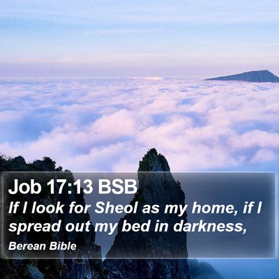 Job 17:13 BSB Bible Verse Image