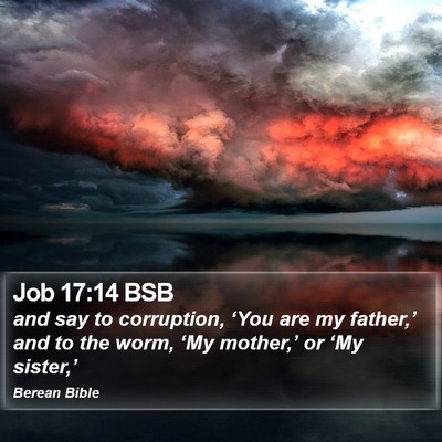 Job 17:14 BSB Bible Verse Image