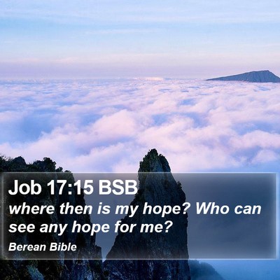 Job 17:15 BSB Bible Verse Image