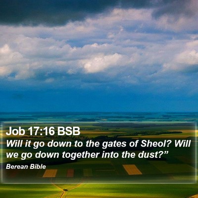 Job 17:16 BSB Bible Verse Image