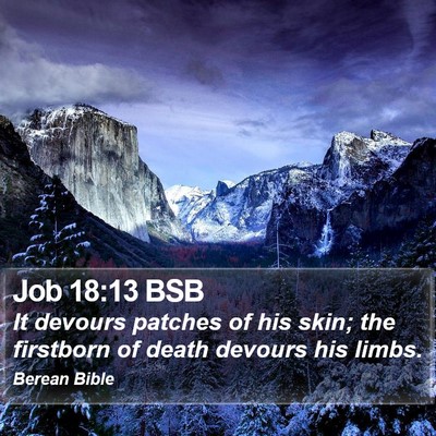 Job 18:13 BSB Bible Verse Image