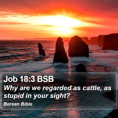 Job 18:3 BSB Bible Verse Image