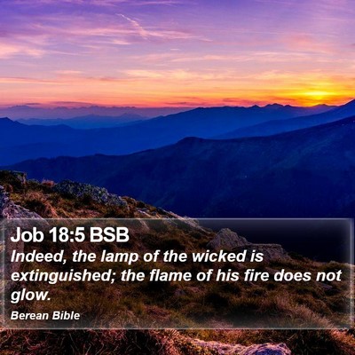 Job 18:5 BSB Bible Verse Image