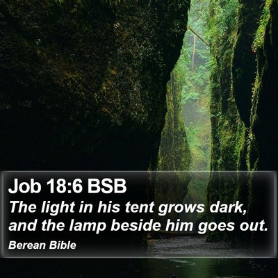 Job 18:6 BSB Bible Verse Image