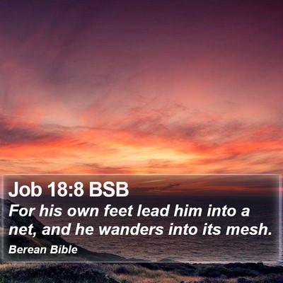 Job 18:8 BSB Bible Verse Image