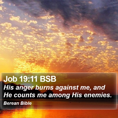 Job 19:11 BSB Bible Verse Image