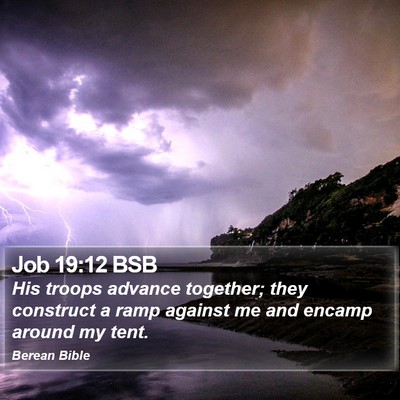 Job 19:12 BSB Bible Verse Image