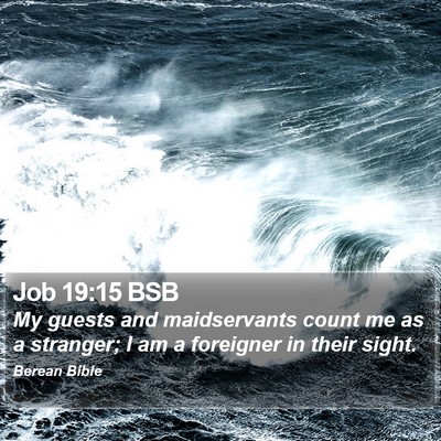 Job 19:15 BSB Bible Verse Image