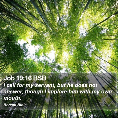 Job 19:16 BSB Bible Verse Image