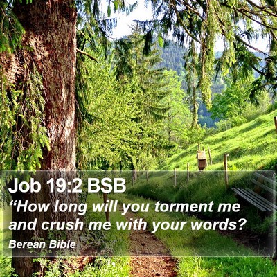 Job 19:2 BSB Bible Verse Image