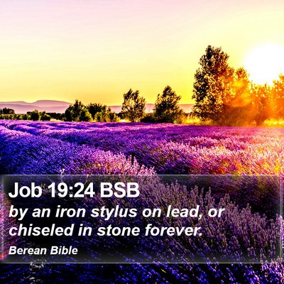 Job 19:24 BSB Bible Verse Image