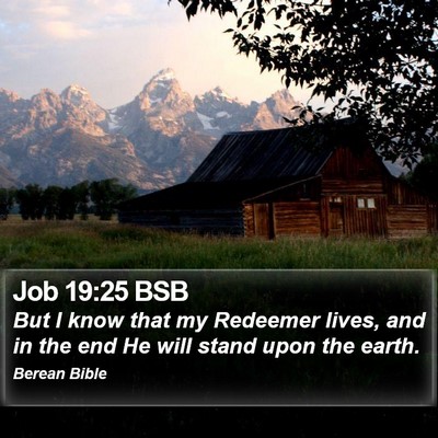Job 19:25 BSB Bible Verse Image