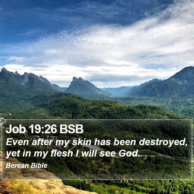 Job 19:26 BSB Bible Verse Image