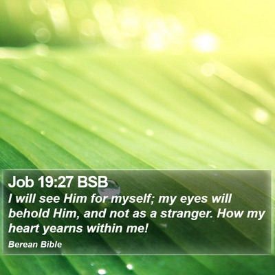 Job 19:27 BSB Bible Verse Image