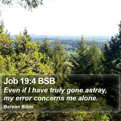 Job 19:4 BSB Bible Verse Image