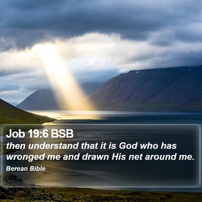 Job 19:6 BSB Bible Verse Image