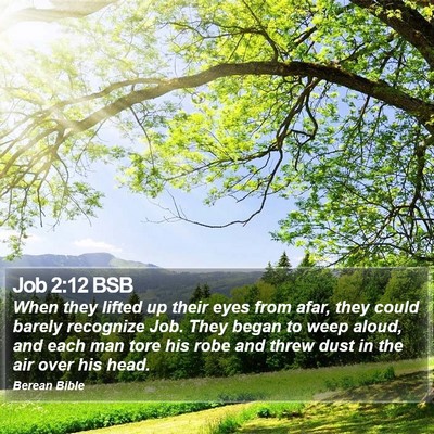 Job 2:12 BSB Bible Verse Image