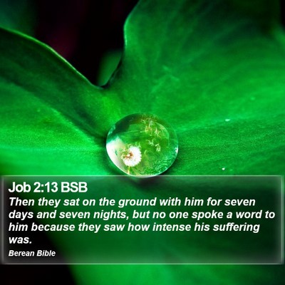 Job 2:13 BSB Bible Verse Image