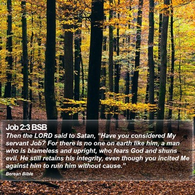 Job 2:3 BSB Bible Verse Image