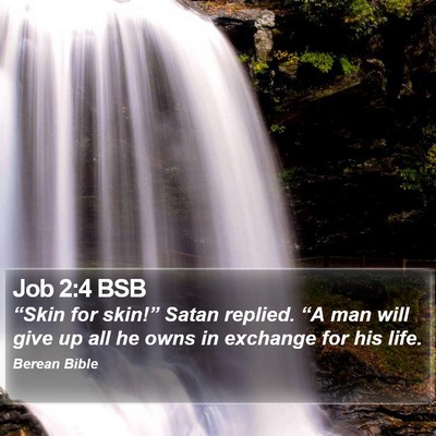 Job 2:4 BSB Bible Verse Image