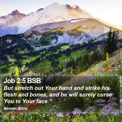 Job 2:5 BSB Bible Verse Image