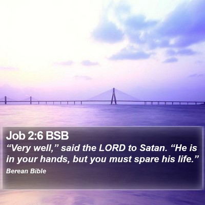 Job 2:6 BSB Bible Verse Image