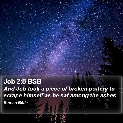 Job 2:8 BSB Bible Verse Image