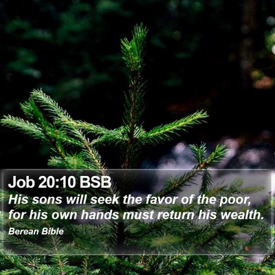 Job 20:10 BSB Bible Verse Image