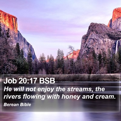 Job 20:17 BSB Bible Verse Image