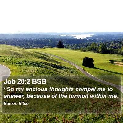 Job 20:2 BSB Bible Verse Image
