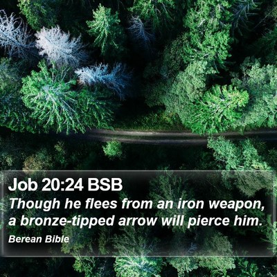 Job 20:24 BSB Bible Verse Image