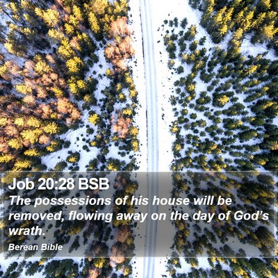Job 20:28 BSB Bible Verse Image